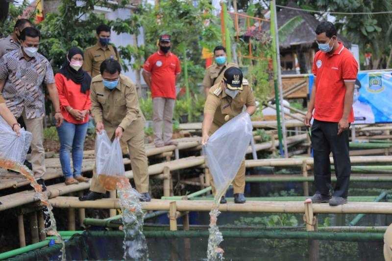 Walikota Arief Tebar 1.500 Bibit Ikan Nila di Kampung Kerambah