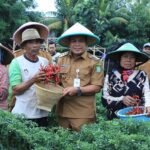 Pemkot Tangerang Panen 3 Ton Cabe, Jaga Ketahanan Pangan