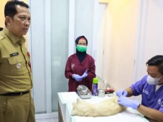 Pj Bupati Tangerang Resmikan Klinik Hewan