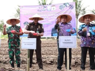 Dukung Ketahanan Pangan, Bupati Tangerang Serahkan Bantuan Pertanian