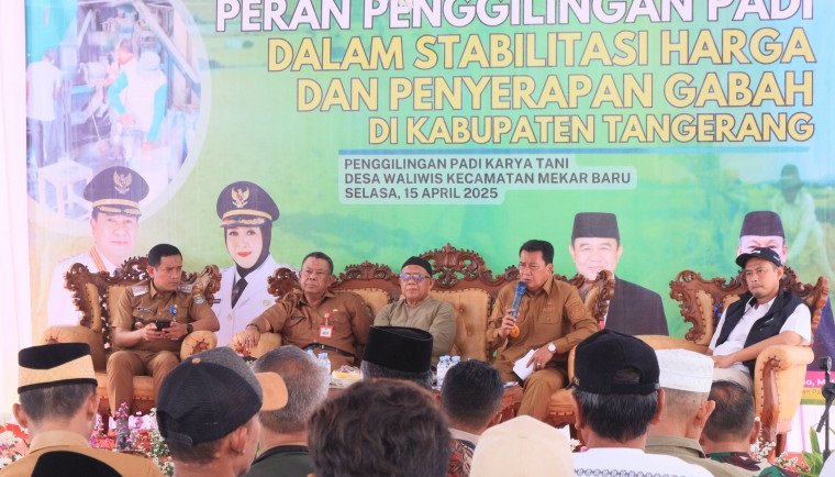 Bupati Tangerang Sambangi Usaha Penggilingan Padi untuk Stabilkan Harga Gabah