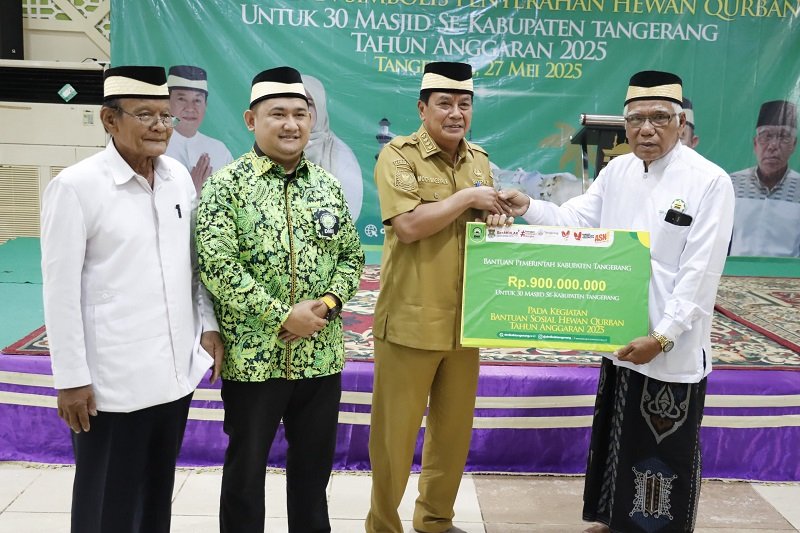 Pemkab Tangerang dan DMI Salurkan 30 Sapi Kurban untuk 29 Kecamatan