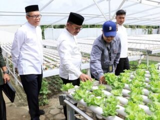 Walikota Tangerang Kunjungi Food Estate Edukatif di Cipondoh