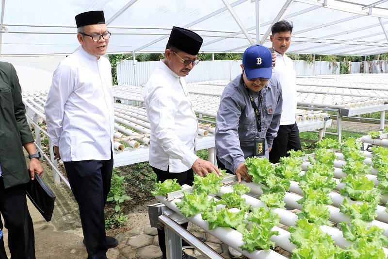 Walikota Tangerang Kunjungi Food Estate Edukatif di Cipondoh