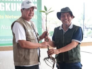 Tanam 10.000 Mangrove, Maesyal Apresiasi Kolaborasi Jurnalis dan Dunia Usaha