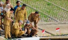 Pemkot Tangsel Uji Coba Padi Apung di Tandon Ciater
